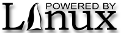 Server powered by GNU/Linux